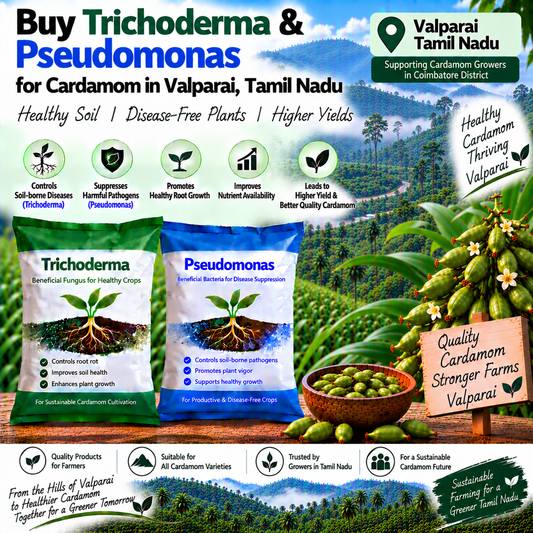 Buy Trichoderma & Pseudomonas for Cardamom in Valparai, Tamil Nadu