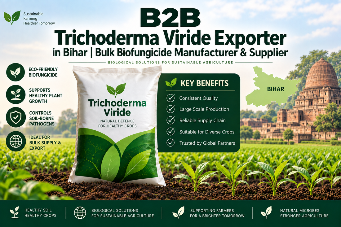 B2B Trichoderma Viride Exporter in Bihar | Bulk Biofungicide Manufacturer & Supplier
