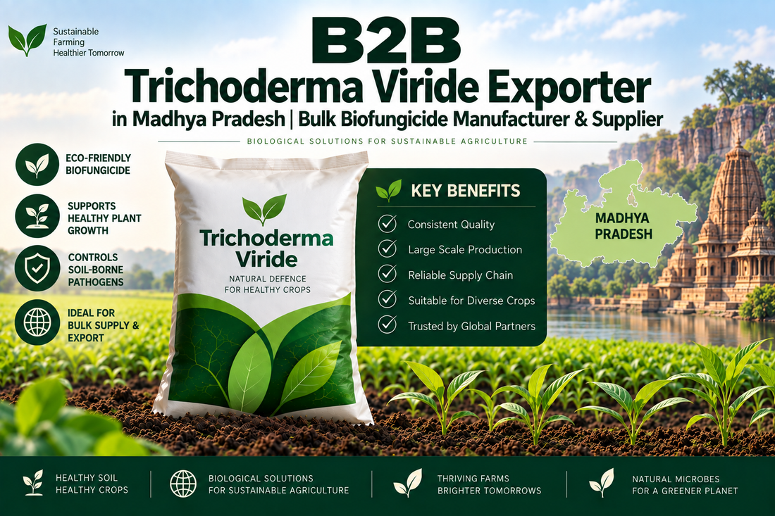 B2B Trichoderma Viride Exporter in Madhya Pradesh | Bulk Biofungicide Manufacturer & Supplier