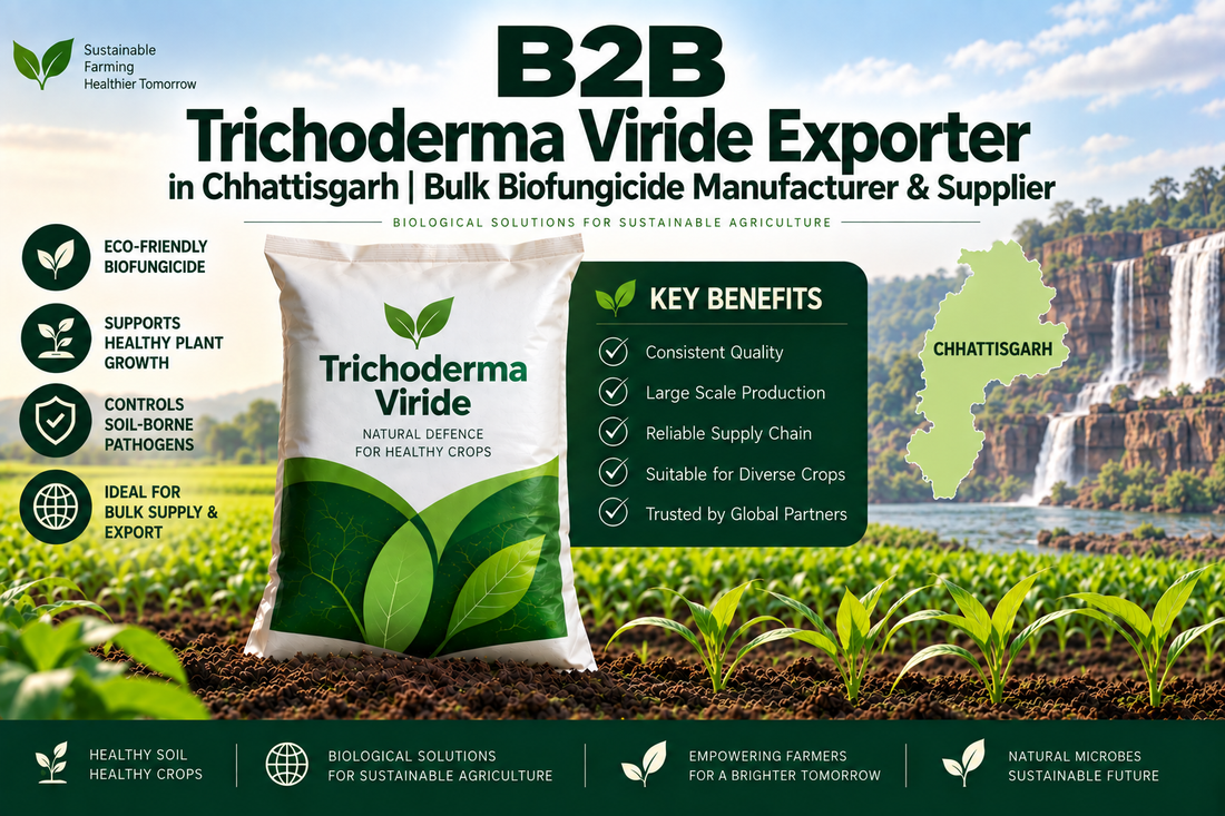 B2B Trichoderma Viride Exporter in Chhattisgarh | Bulk Biofungicide Manufacturer & Supplier