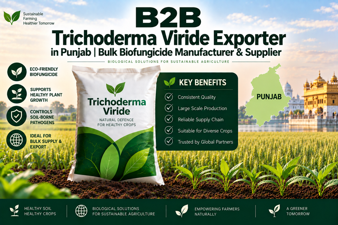 B2B Trichoderma Viride Exporter in Punjab | Bulk Biofungicide Manufacturer & Supplier