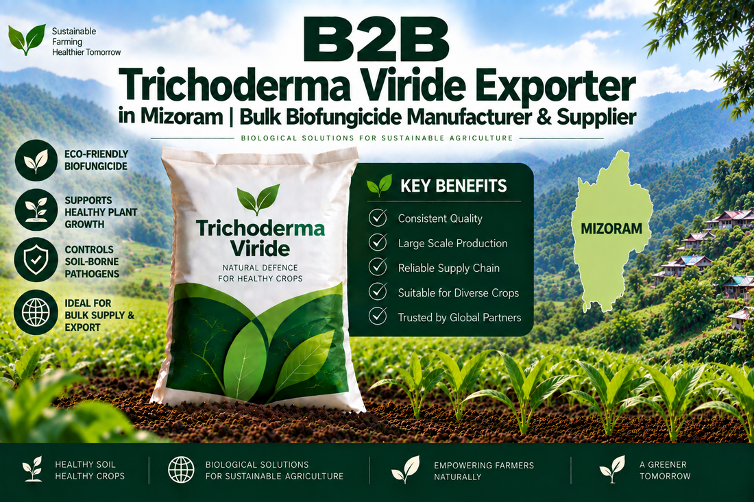 B2B Trichoderma Viride Exporter in Mizoram | Bulk Biofungicide Manufacturer & Supplier