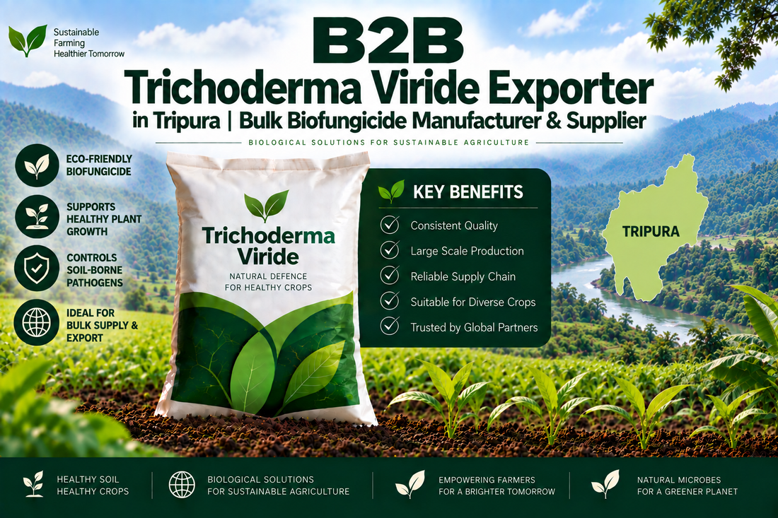 B2B Trichoderma Viride Exporter in Tripura | Bulk Biofungicide Manufacturer & Supplier