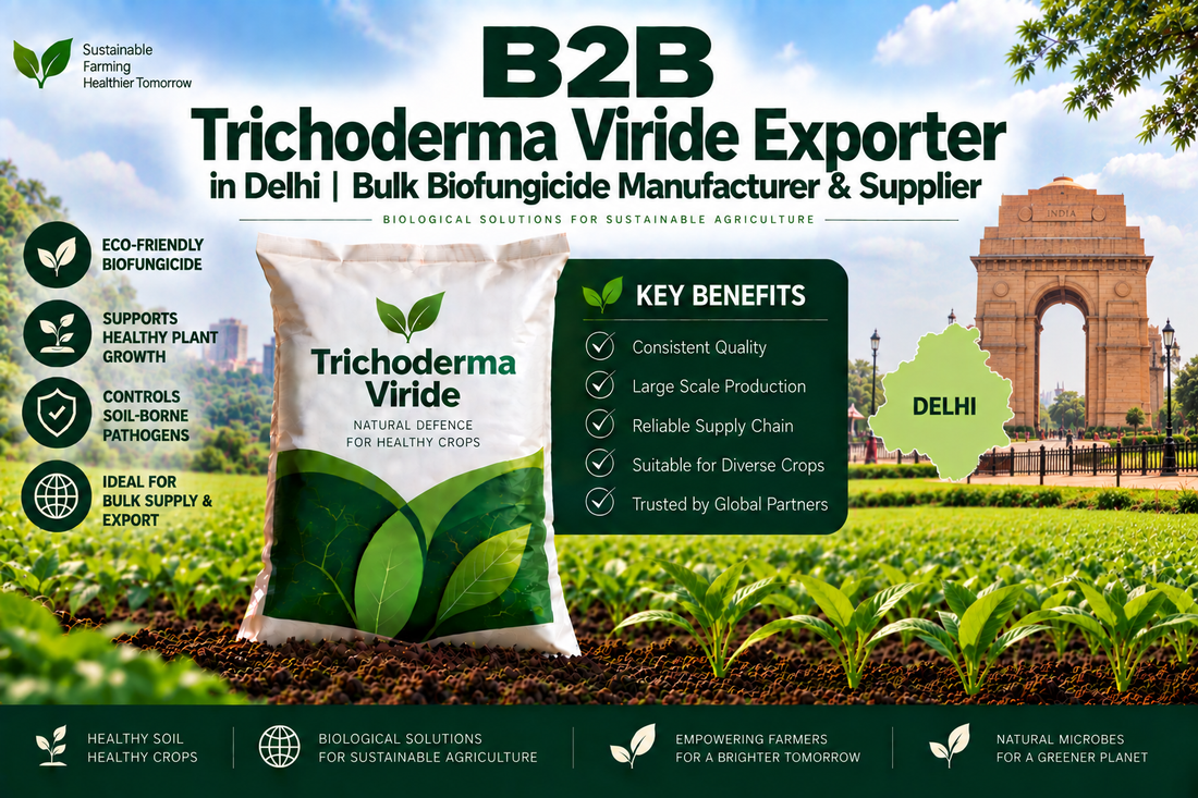 B2B Trichoderma Viride Exporter in Delhi | Bulk Biofungicide Manufacturer & Supplier