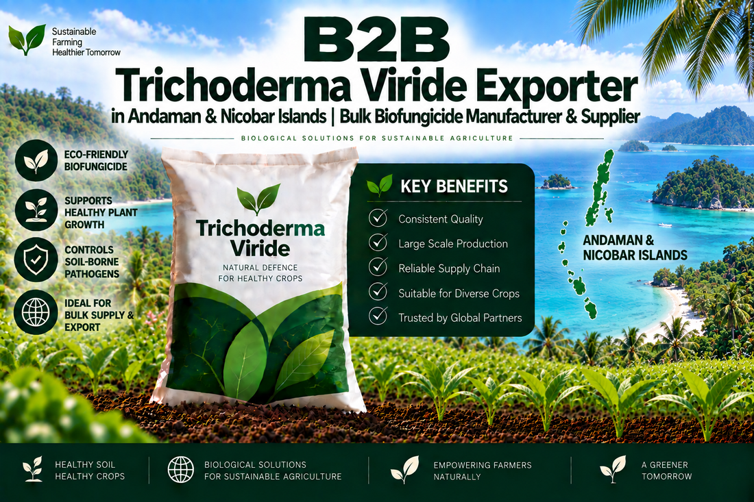 B2B Trichoderma Viride Exporter in Andaman & Nicobar Islands | Bulk Biofungicide Manufacturer & Supplier