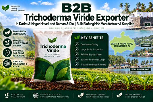 B2B Trichoderma Viride Exporter in Dadra & Nagar Haveli and Daman & Diu | Bulk Biofungicide Manufacturer & Supplier