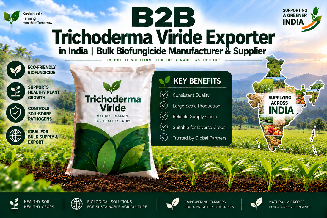 B2B Trichoderma Viride Exporter in India | Bulk Biofungicide Manufacturer & Supplier