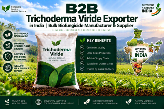 B2B Trichoderma Viride Exporter in India | Bulk Biofungicide Manufacturer & Supplier