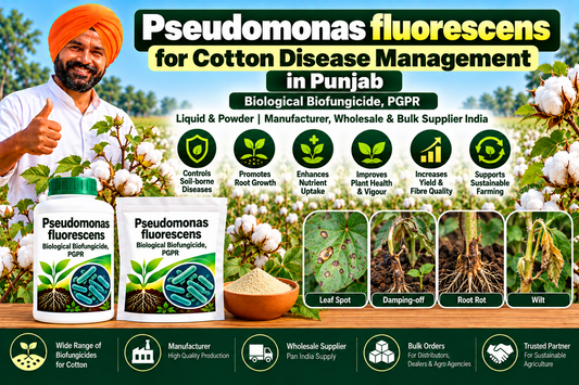 Pseudomonas fluorescens for Cotton Disease Management in Punjab | Biological Biofungicide, PGPR, Liquid & Powder Manufacturer, Wholesale & Bulk Supplier India