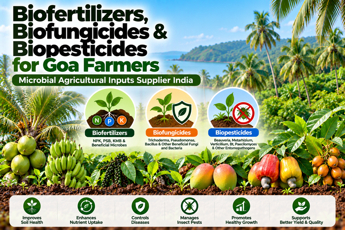 Biofertilizers, Biofungicides & Biopesticides for Goa Farmers | Microbial Agricultural Inputs Supplier India