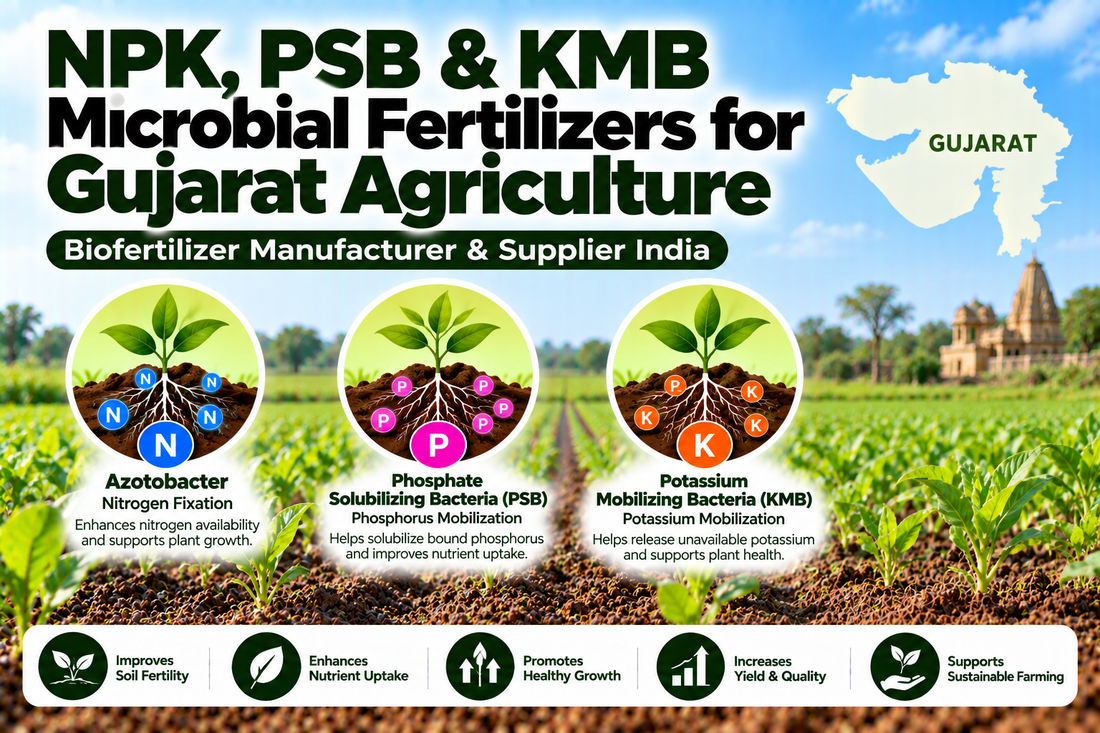 NPK, PSB & KMB Microbial Fertilizers for Gujarat Agriculture | Biofertilizer Manufacturer & Supplier India