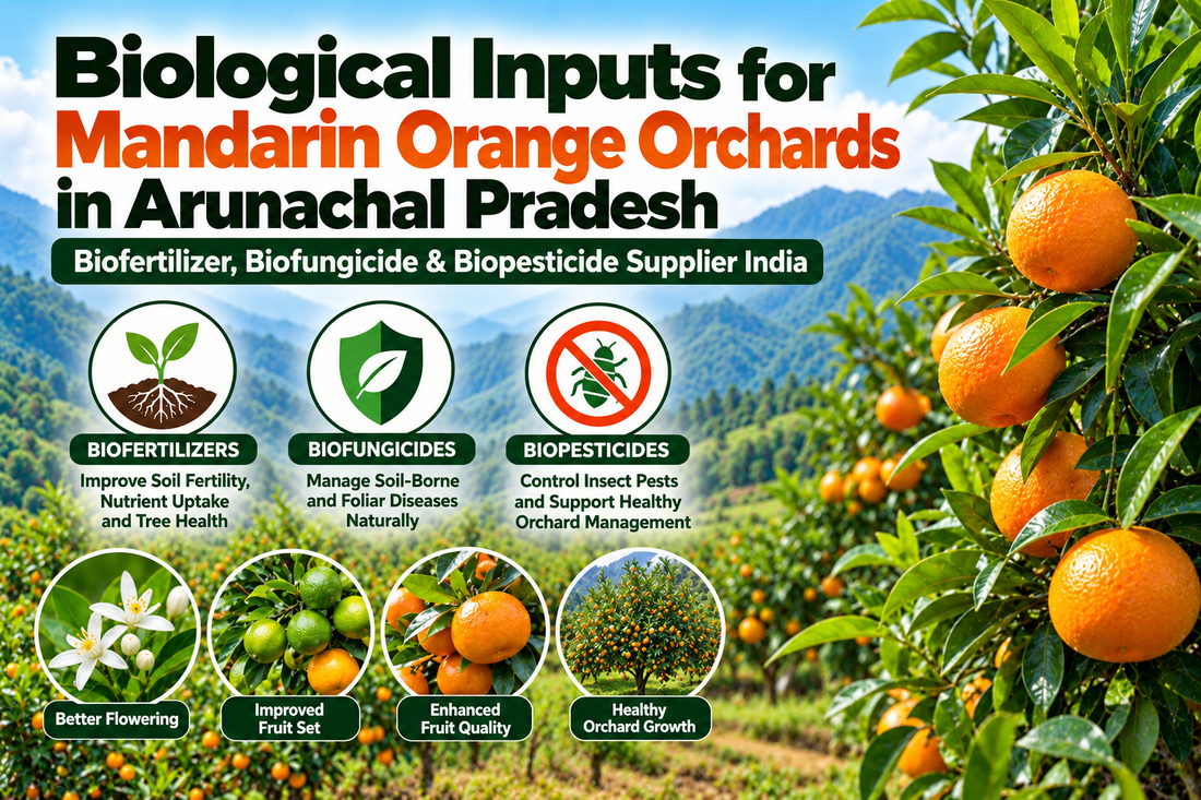 Biological Inputs for Mandarin Orange Orchards in Arunachal Pradesh | Biofertilizer, Biofungicide & Biopesticide Supplier India