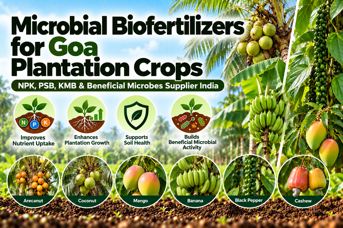 Microbial Biofertilizers for Goa Plantation Crops | NPK, PSB, KMB & Beneficial Microbes Supplier India