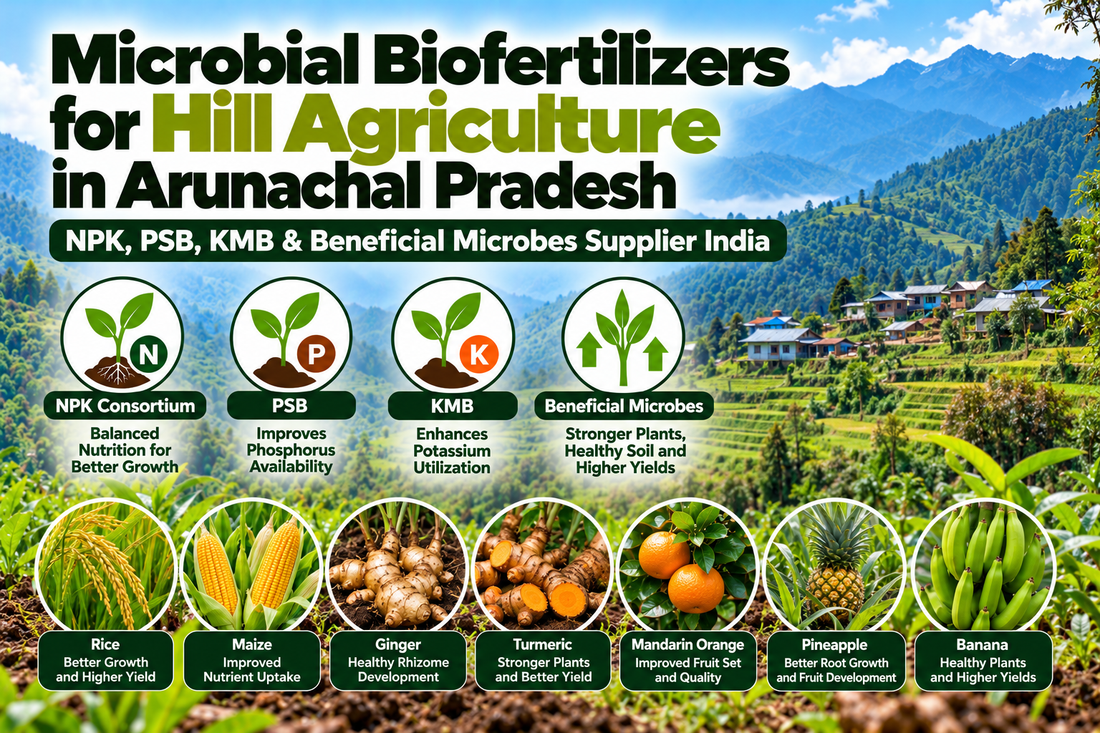 Microbial Biofertilizers for Hill Agriculture in Arunachal Pradesh | NPK, PSB, KMB & Beneficial Microbes Supplier India