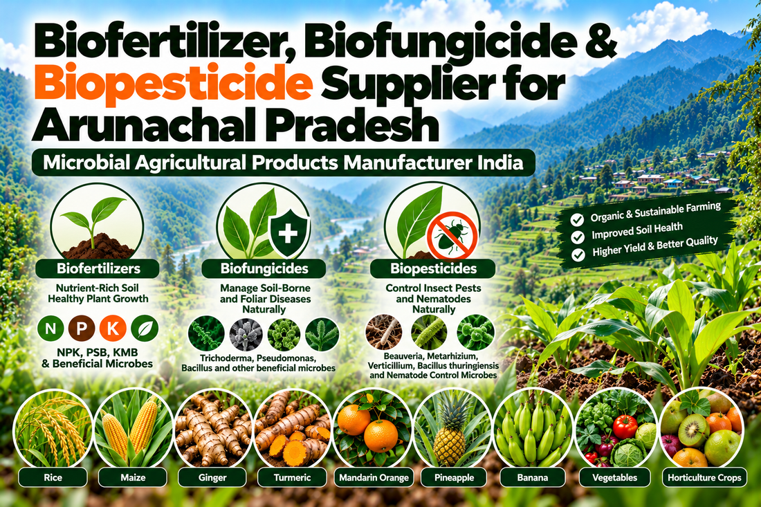 Biofertilizer, Biofungicide & Biopesticide Supplier for Arunachal Pradesh | Microbial Agricultural Products Manufacturer India