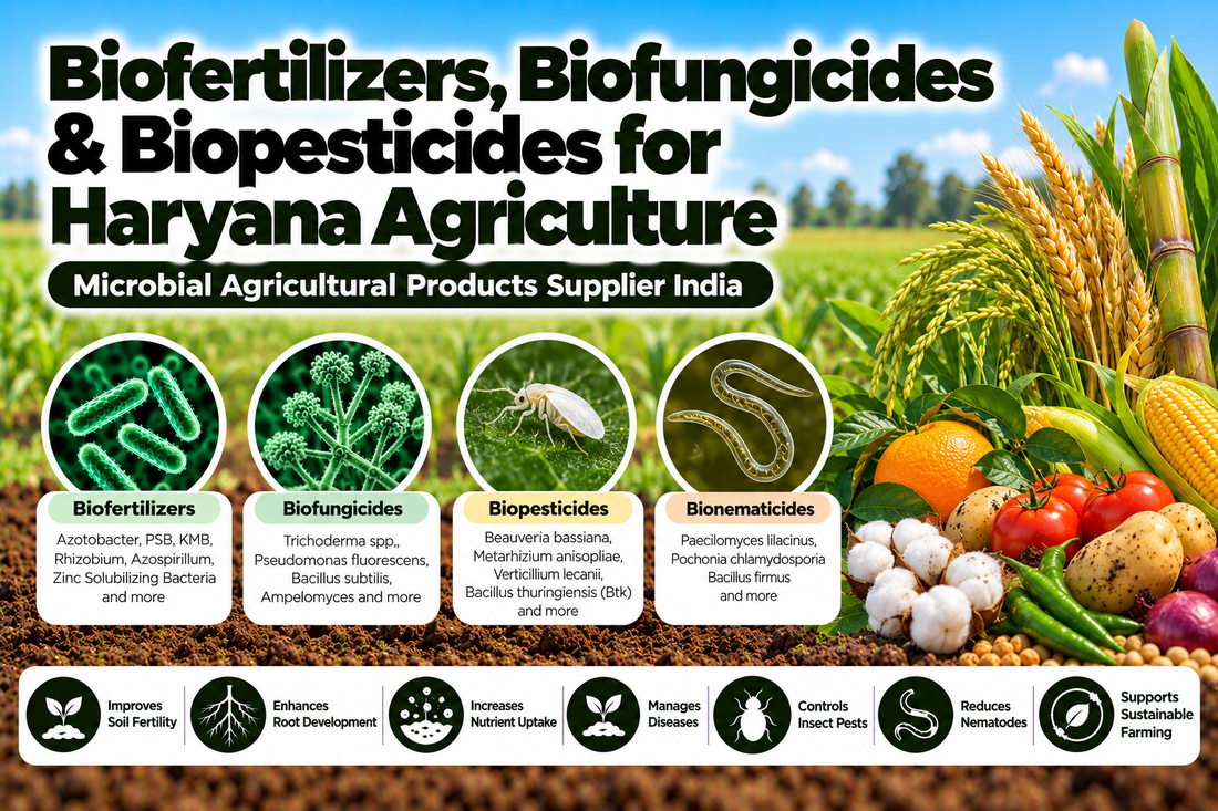 Biofertilizers, Biofungicides & Biopesticides for Haryana Agriculture | Microbial Agricultural Products Supplier India