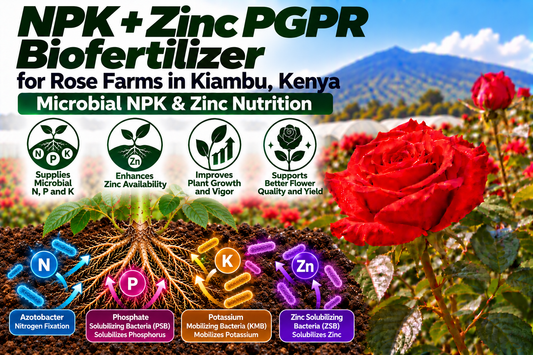 NPK + Zinc PGPR Biofertilizer for Rose Farms in Kiambu, Kenya | Microbial NPK & Zinc Nutrition | Peak Laboratories India