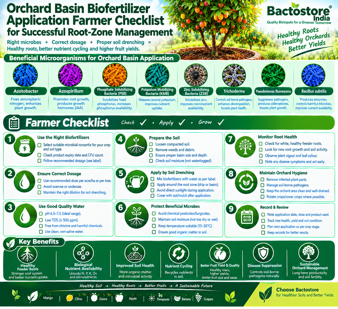 Orchard Basin Biofertilizer Application Farmer Checklist for Successful Root-Zone Management | Azotobacter, Azospirillum, Phosphate Solubilizing Bacteria, Potassium Mobilizing Bacteria, Zinc Solubilizing Bacteria, Trichoderma