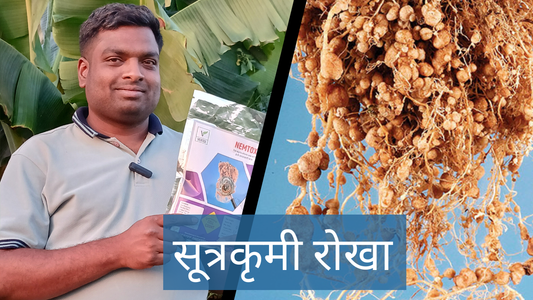 #nemtox सूत्रकृमी रोखण्यासाठी वापरा #nemtox