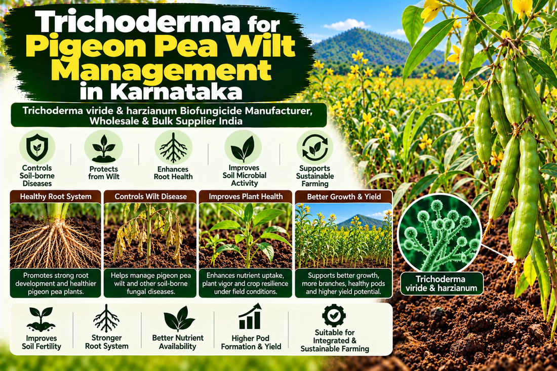 Trichoderma for Pigeon Pea Wilt Management in Karnataka | Trichoderma viride & harzianum Biofungicide Manufacturer, Wholesale & Bulk Supplier India
