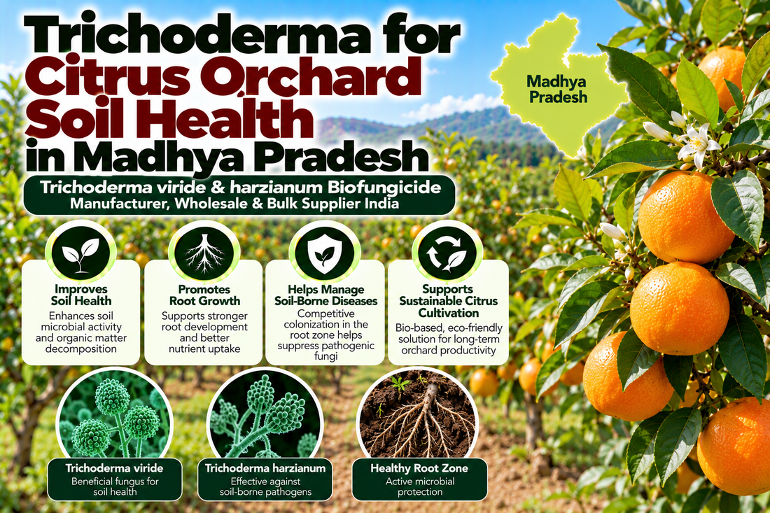Trichoderma for Citrus Orchard Soil Health in Madhya Pradesh | Trichoderma viride & harzianum Biofungicide Manufacturer, Wholesale & Bulk Supplier India