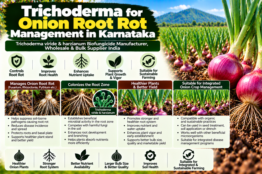 Trichoderma for Onion Root Rot Management in Karnataka | Trichoderma viride & harzianum Biofungicide Manufacturer, Wholesale & Bulk Supplier India