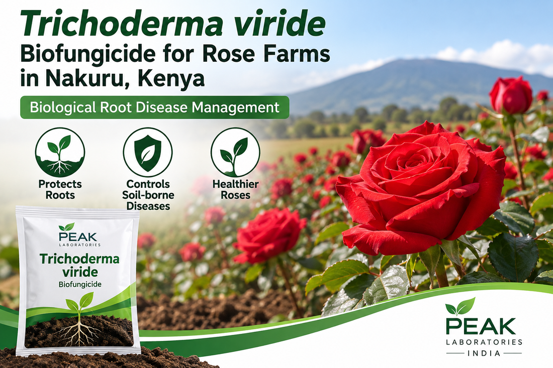 Trichoderma viride Biofungicide for Rose Farms in Nakuru, Kenya | Biological Root Disease Management | Peak Laboratories India