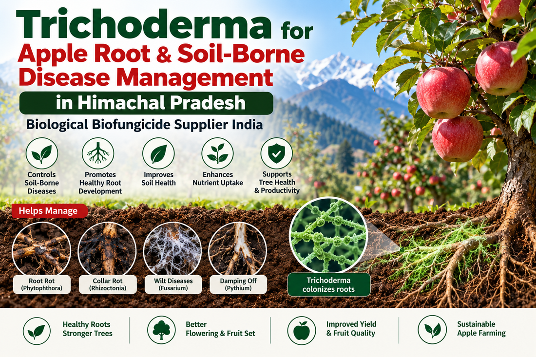 Trichoderma for Apple Root & Soil-Borne Disease Management in Himachal Pradesh | Biological Biofungicide Supplier India