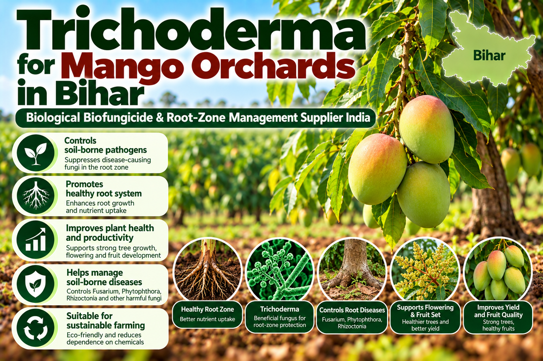 Trichoderma for Mango Orchards in Bihar | Biological Biofungicide & Root-Zone Management Supplier India