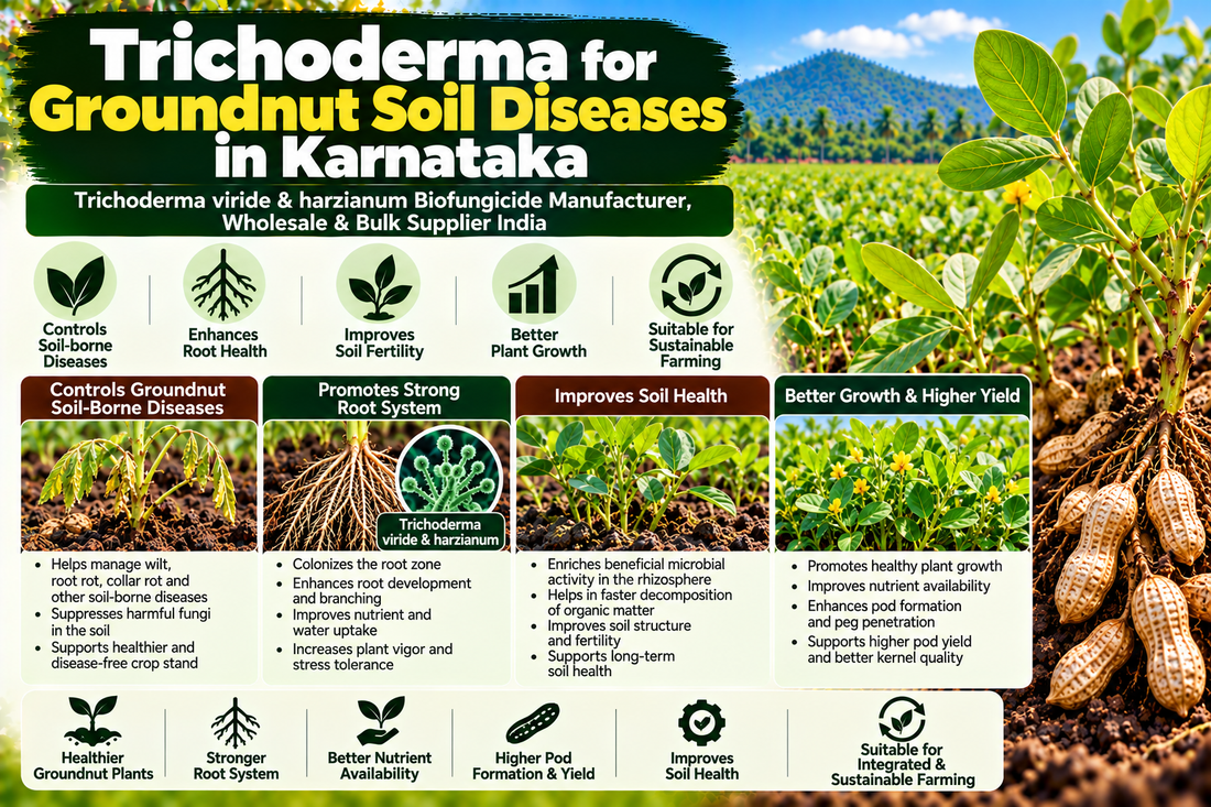 Trichoderma for Groundnut Soil Diseases in Karnataka | Trichoderma viride & harzianum Biofungicide Manufacturer, Wholesale & Bulk Supplier India
