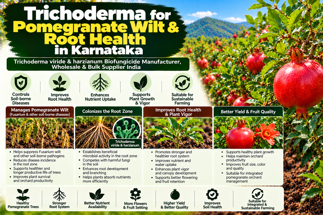 Trichoderma for Pomegranate Wilt & Root Health in Karnataka | Trichoderma viride & harzianum Biofungicide Manufacturer, Wholesale & Bulk Supplier India