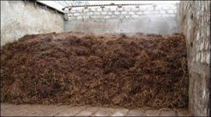 Compost Management for Pest-Free Mushroom Farming