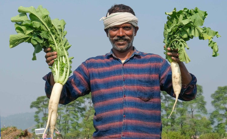 Agriculture