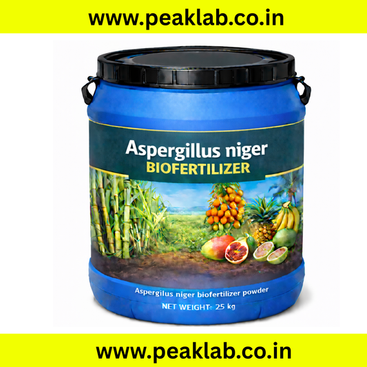 Aspergillus niger Powder 25 Kg Drum