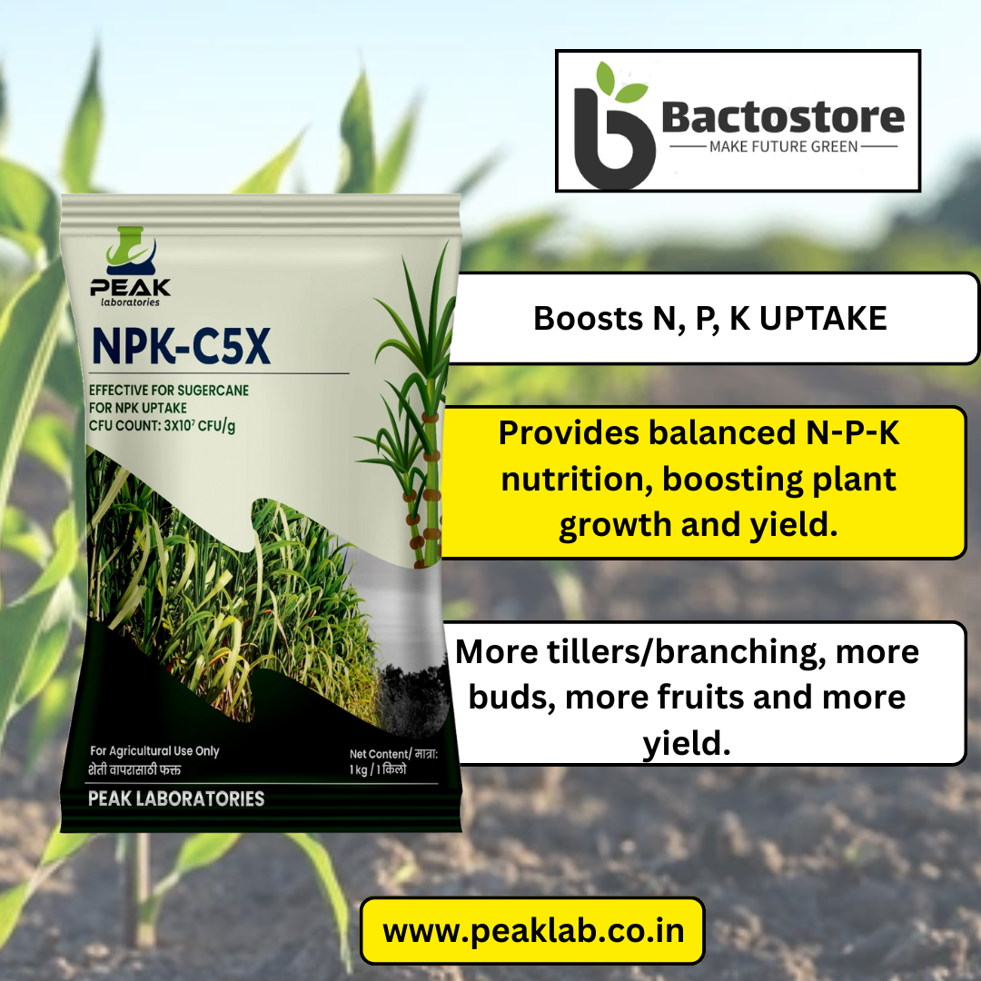 ಟಾಲ್ಕ್ ಪೌಡರ್ ಬೇಸ್: NPK C5X: ಕಬ್ಬಿಗೆ NPK ಕನ್ಸೋರ್ಟಿಯಾ 1 ಕೆಜಿ
