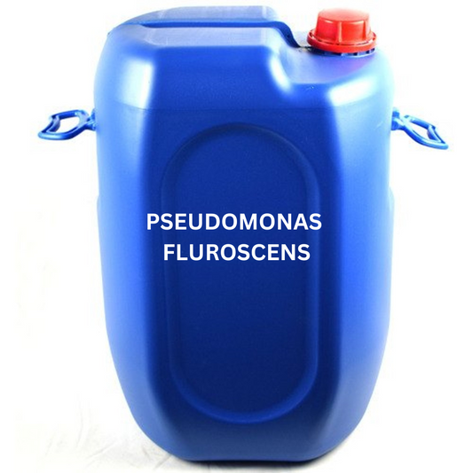 Pseudomonas Fluorescens Liquid Biofertilizer