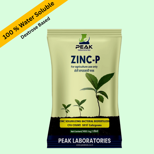 ZINC-P : ZSB ಬ್ಯಾಕ್ಟೀರಿಯಾ 1 ಕೆಜಿ ಪ್ಯಾಕೆಟ್ (ಡೆಕ್ಸ್ಟ್ರೋಸ್)