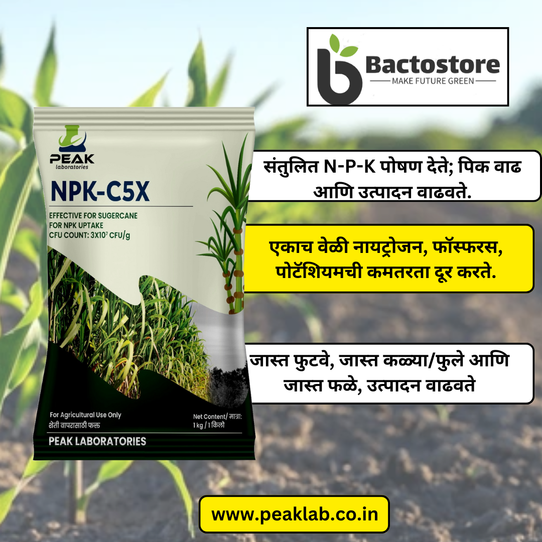 ಟಾಲ್ಕ್ ಪೌಡರ್ ಬೇಸ್: NPK C5X: ಕಬ್ಬಿಗೆ NPK ಕನ್ಸೋರ್ಟಿಯಾ 1 ಕೆಜಿ