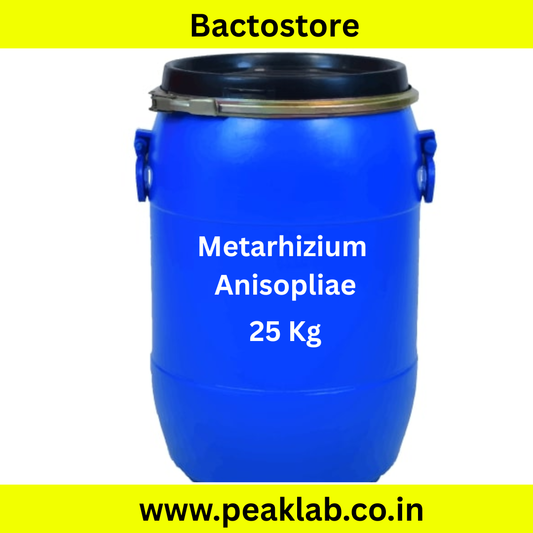 Metarhizium Anisopliae powder 25 Kg Drum