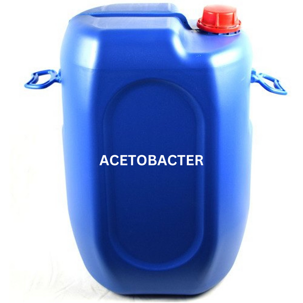 Buy Acetobacter | Starting at 120 Rs per litre | Bactostore