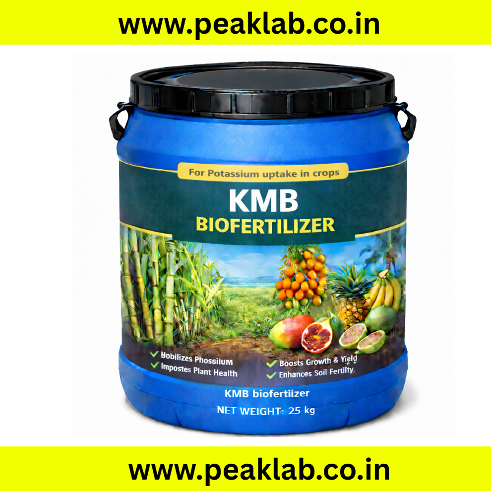 KMB Biofertilizer Powder - 25 kg Drum (Potash Mobilizing Bacteria ...