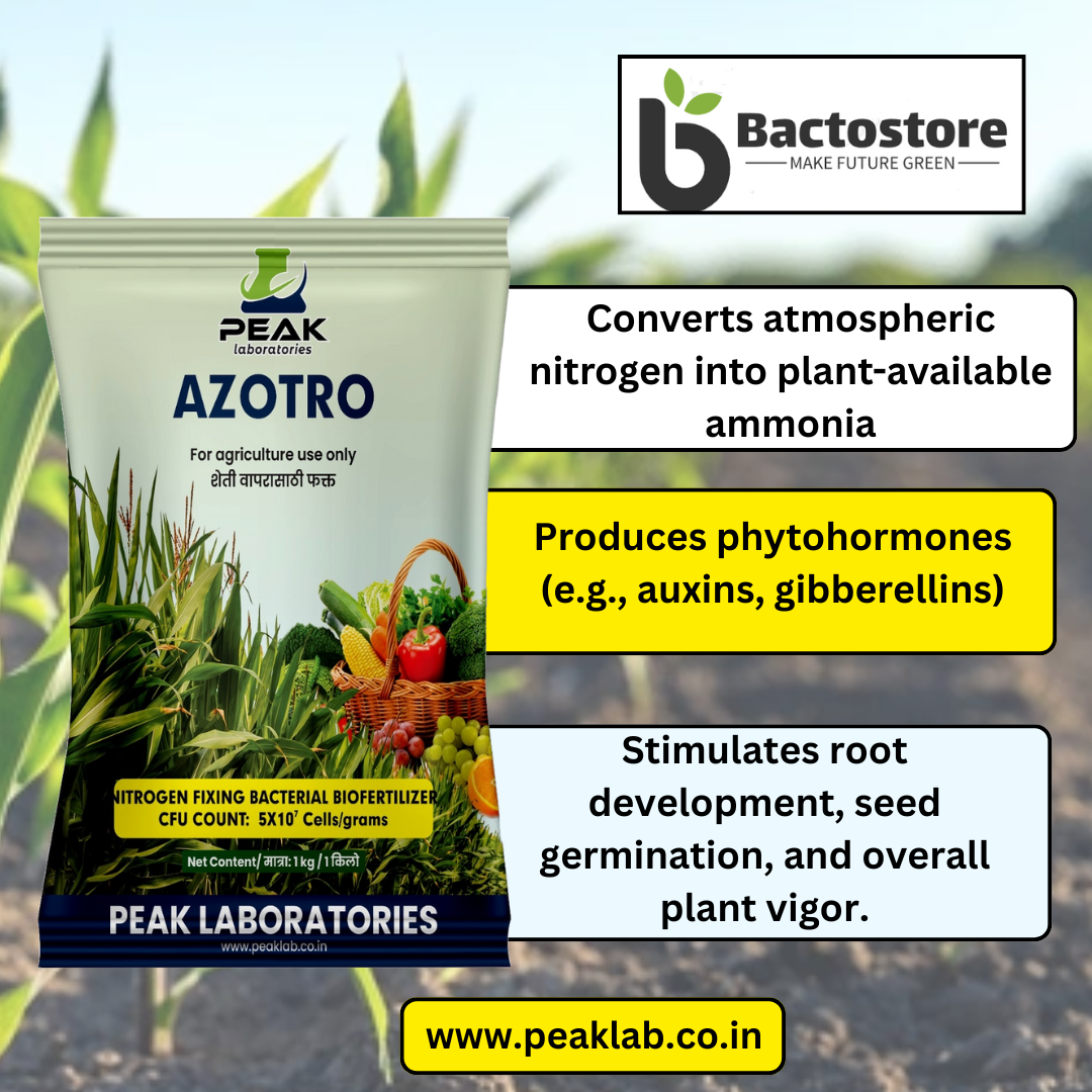 AZOTRO: AZOTOBACTER 1 Kg Packet (Talc)