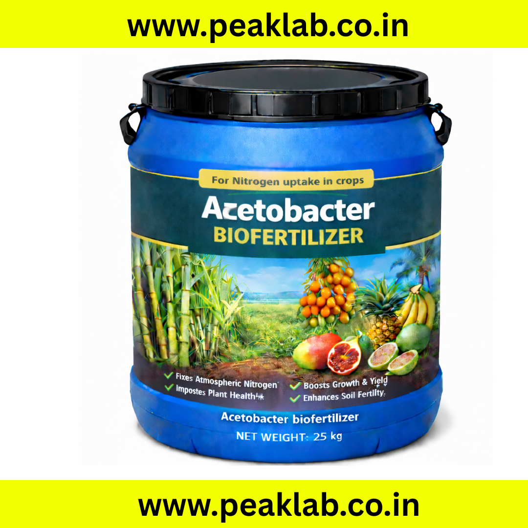 Acetobacter Powder 25 Kg Drum | Starting from 110 Rs per kg – Bactostore