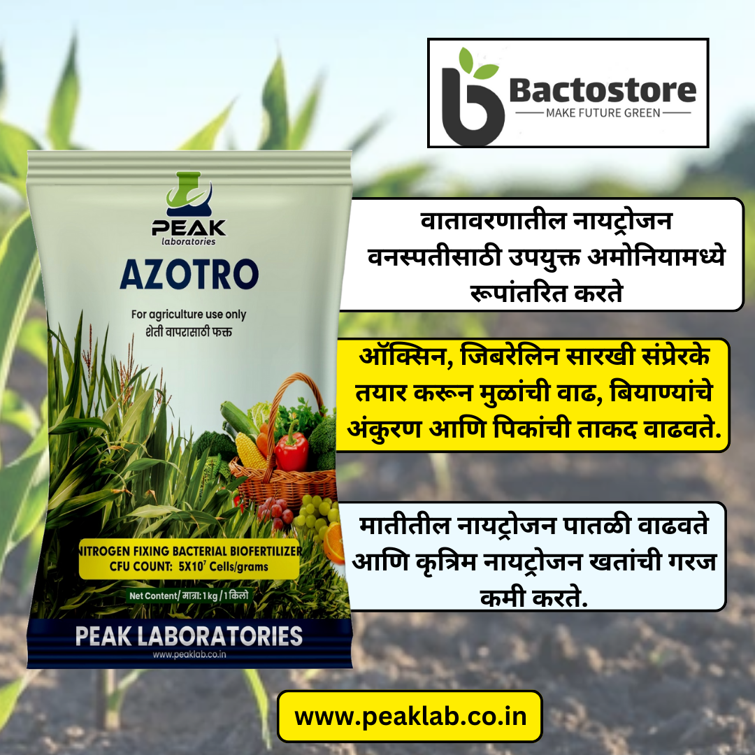 AZOTRO: AZOTOBACTER 1 Kg Packet (Talc)