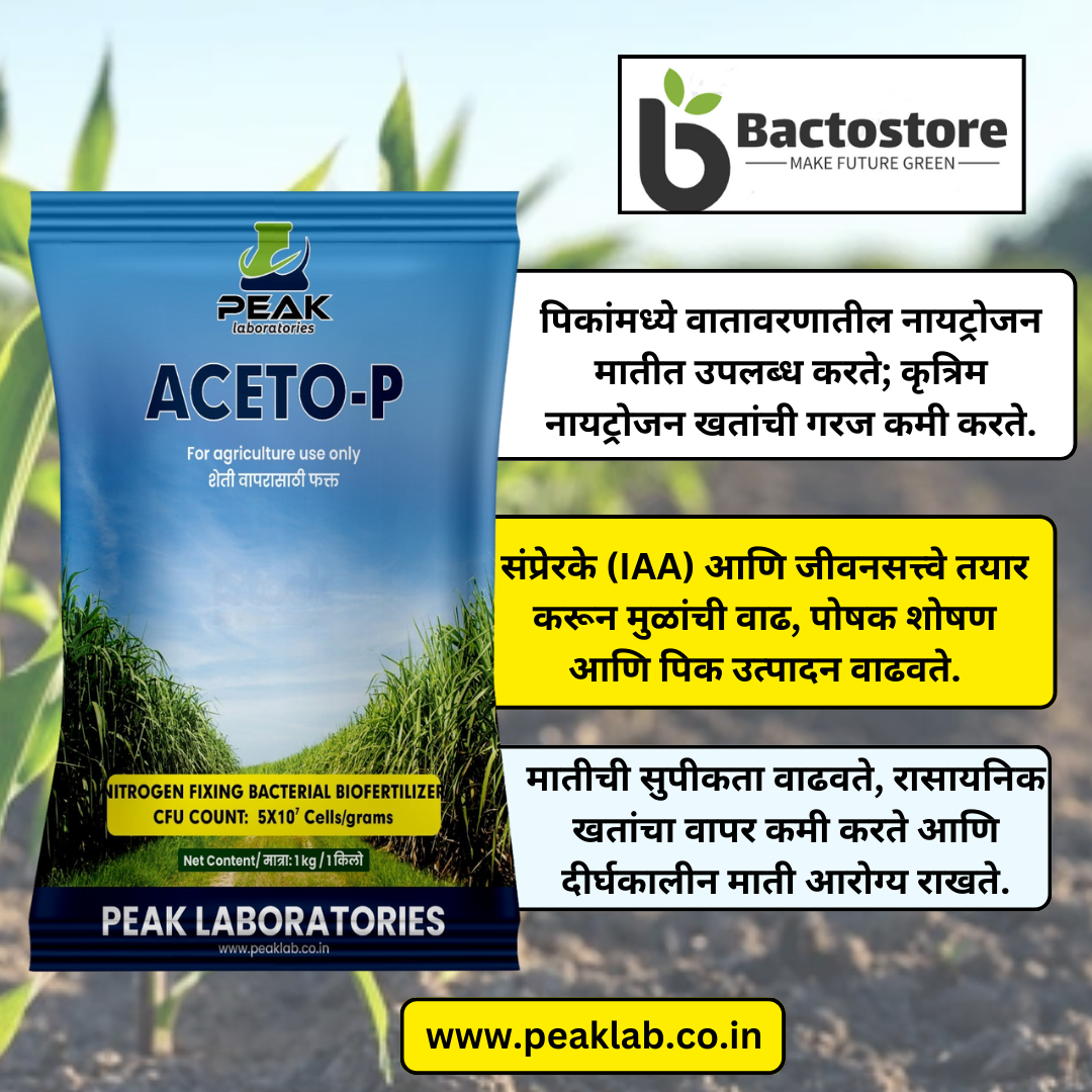 ACETO-P: Acetobacter (Talc)