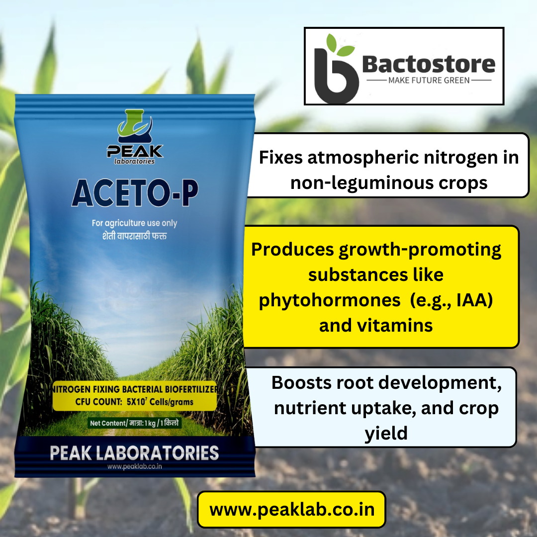 ACETO-P: Acetobacter (Talc)