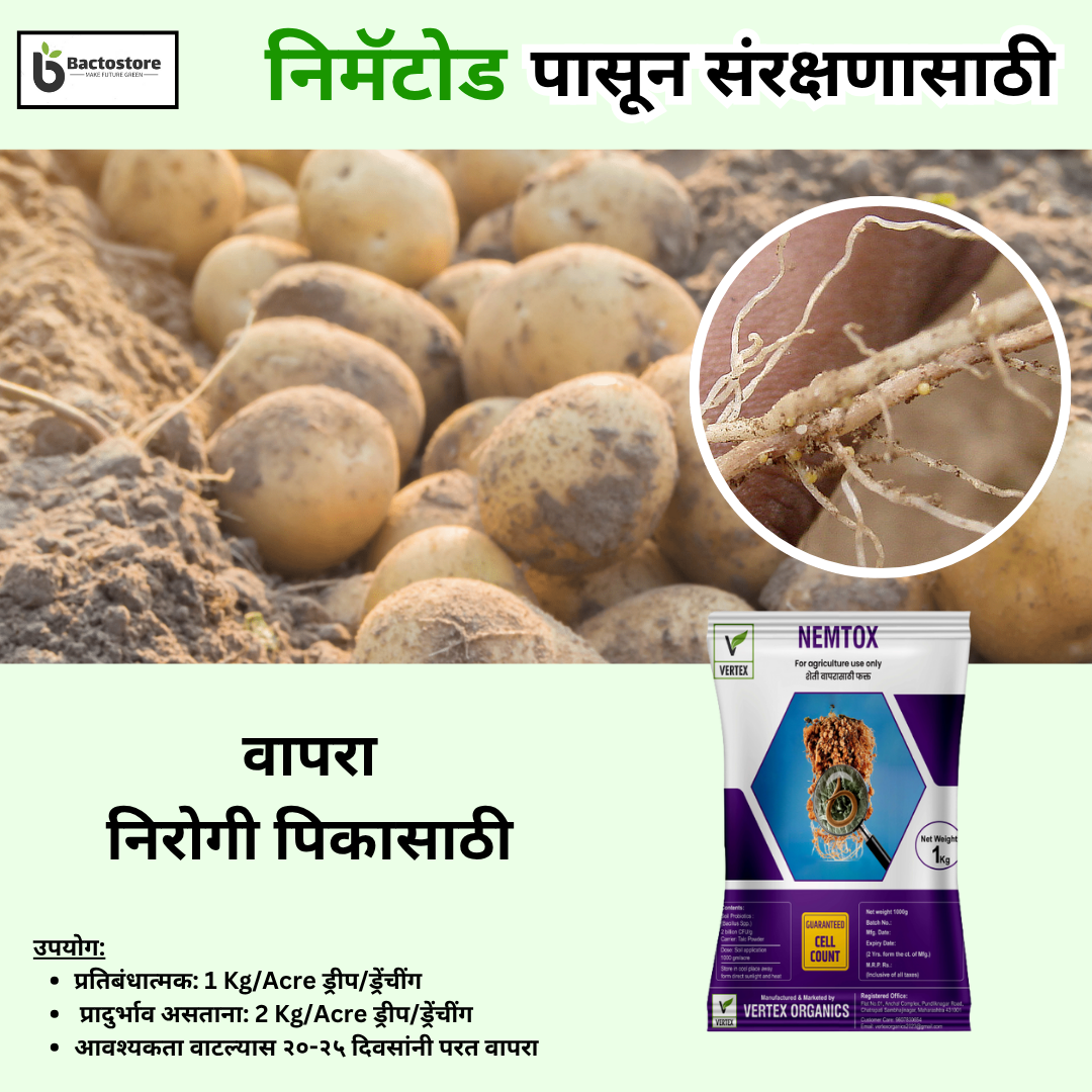 Root-Knot Nematode control in Potato