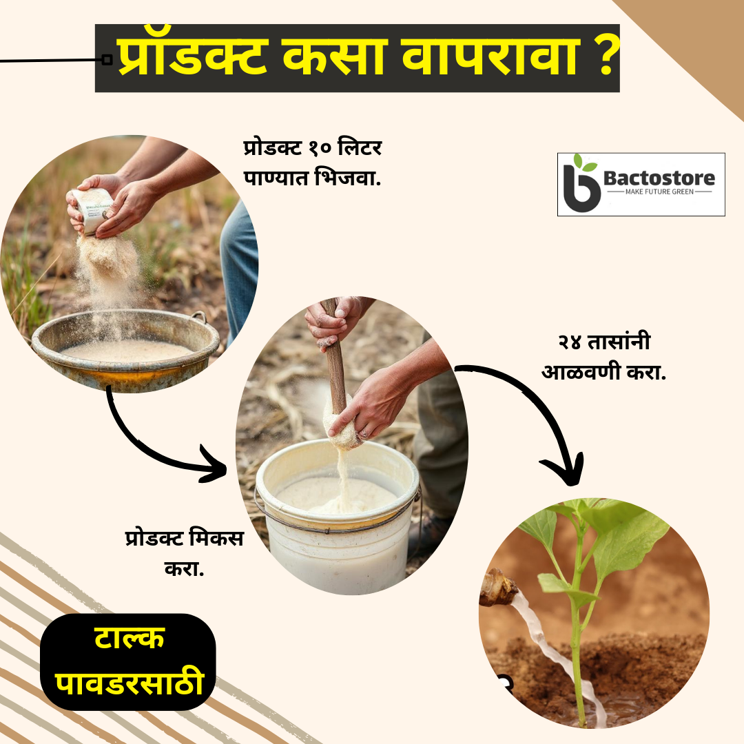 TALC POWDER BASE:  NPK C5X: NPK CONSORTIA FOR SUGARCANE 1kg