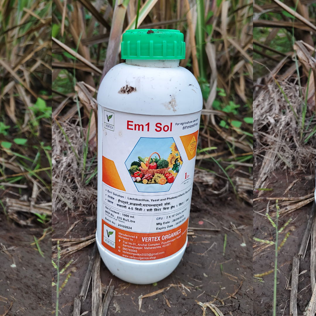 EM1 Solution Effective Microorganisms-1 Liquid Solution