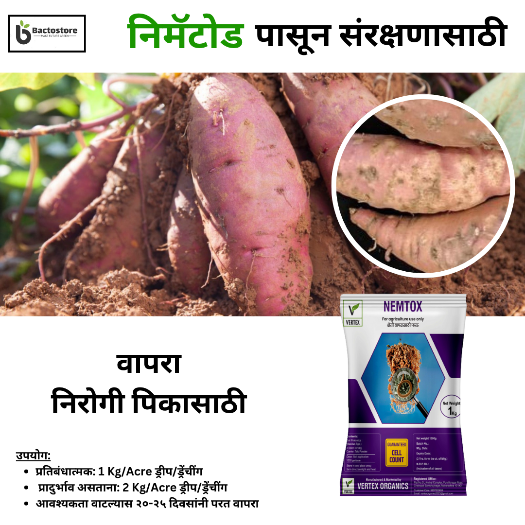 Nematode control in Sweet Potato